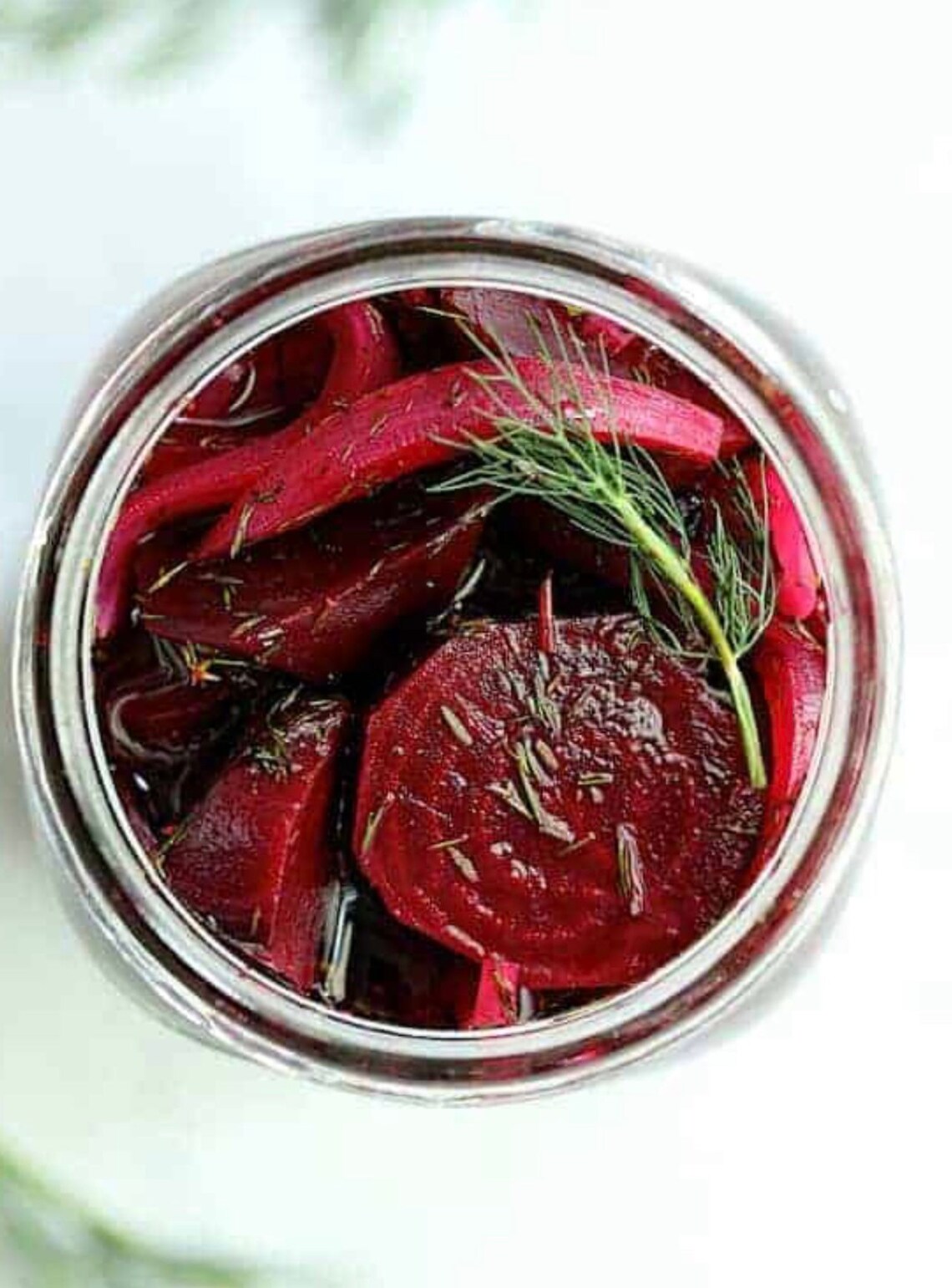 Pickled Red Beets 100 Etsy