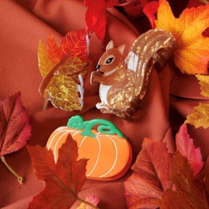 May include: A collection of autumn-themed brooches. The designs include a squirrel, a pumpkin, and various leaves in autumnal colours. The squirrel is brown and white, the pumpkin is orange, and the leaves are red, orange, and yellow. The background is rust-coloured.