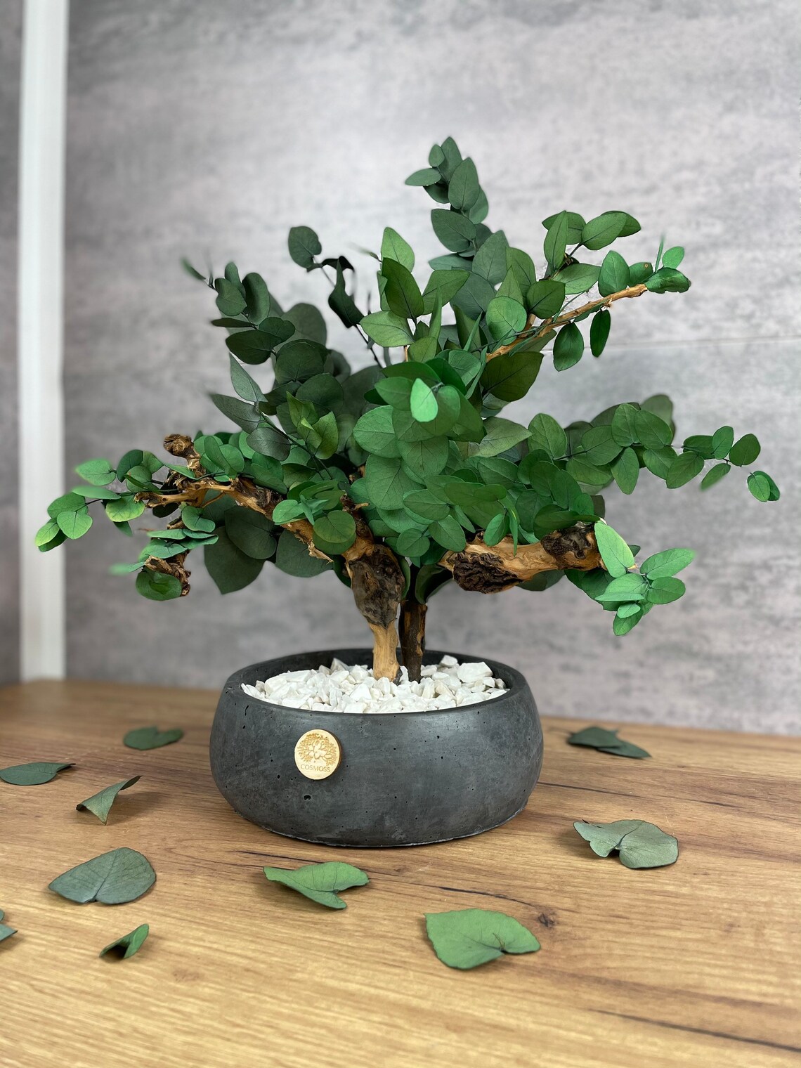 Indoor bonsai tree with preserved eucalyptus Artificial Etsy