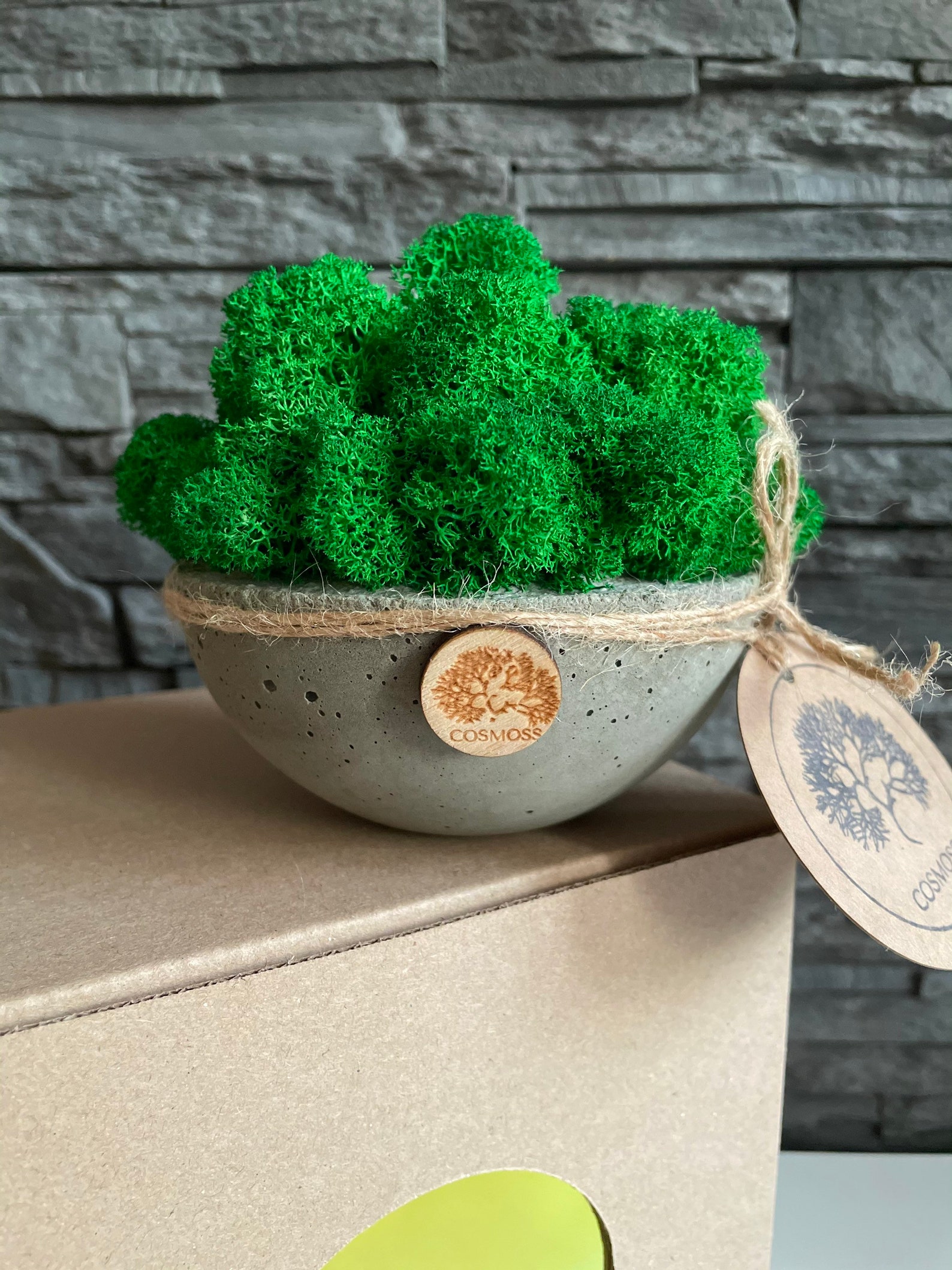 Artificial green moss pot living moss pot plant moss in Etsy