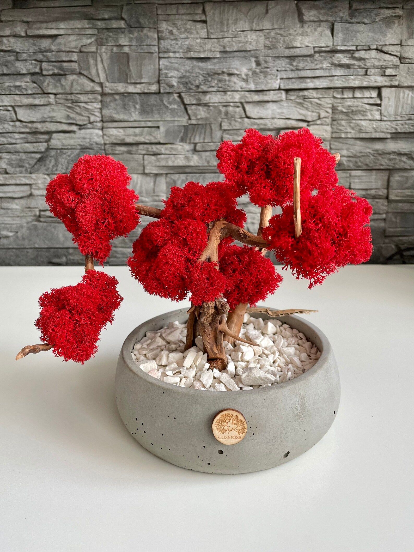 Red japanese bonsai tree pot bonsai with preserved moss red Etsy