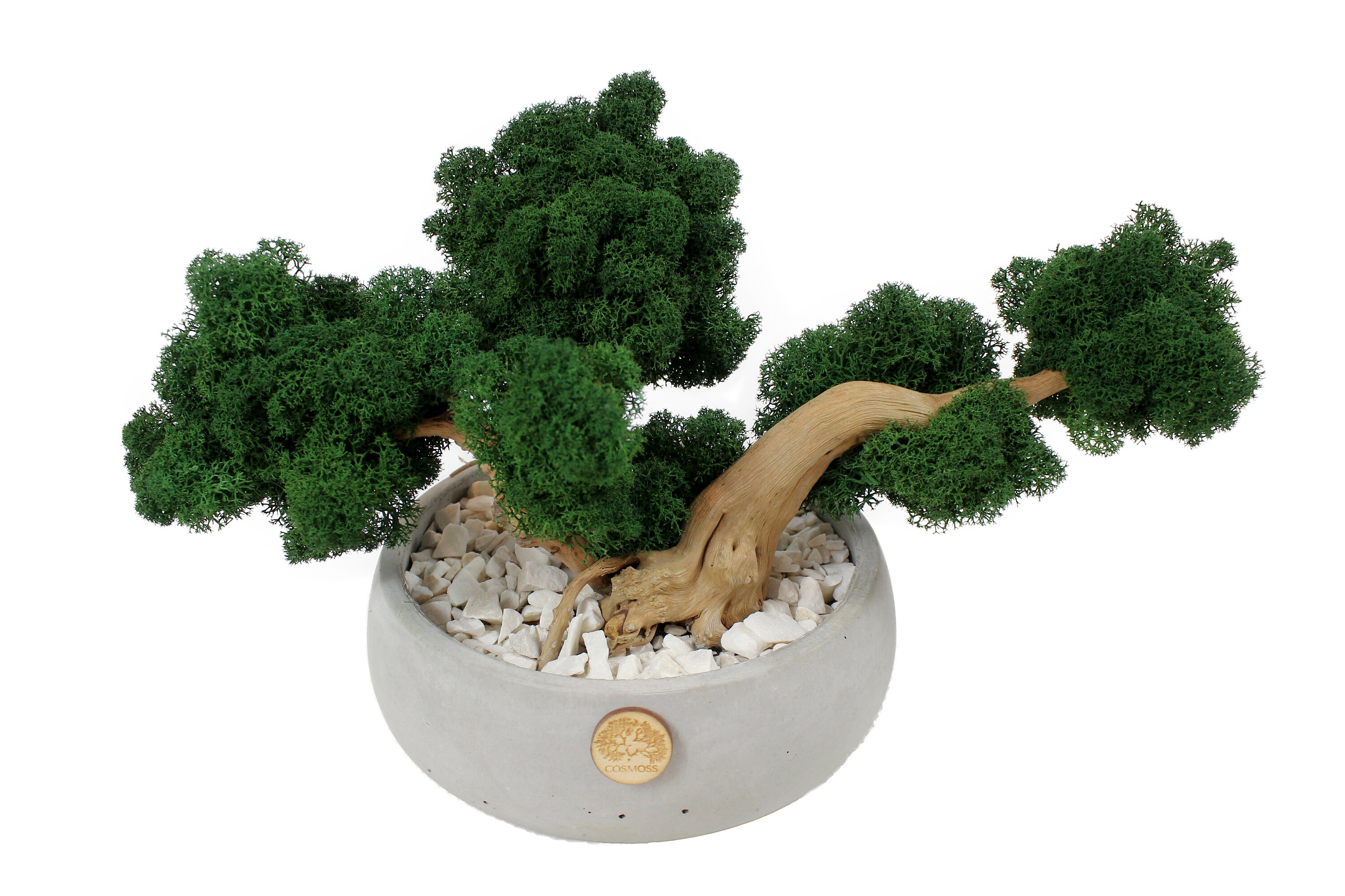 Preserved artificial bonsai tree in concrete pot moss bonsai Etsy