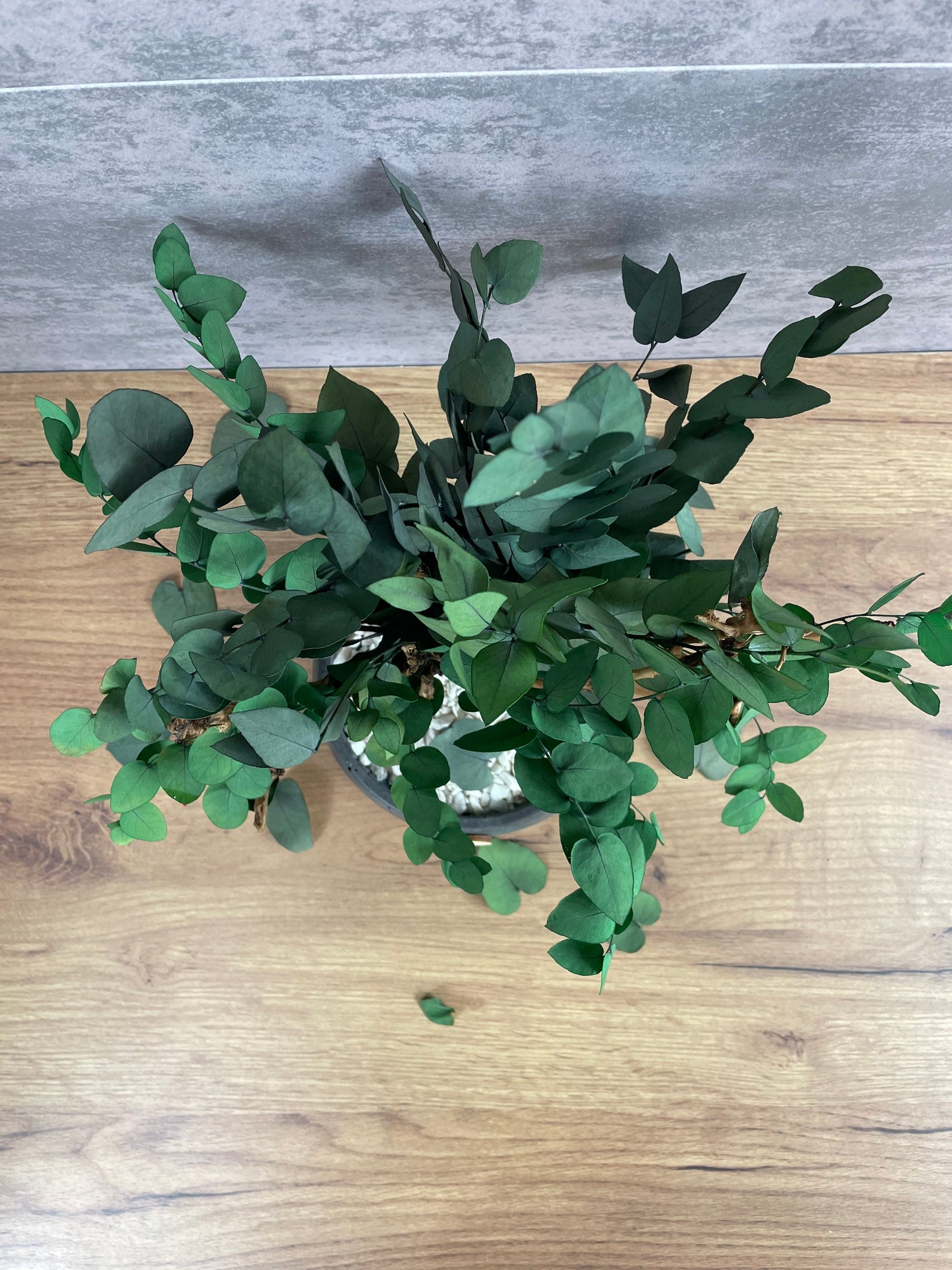 Indoor bonsai tree with preserved eucalyptus Artificial Etsy