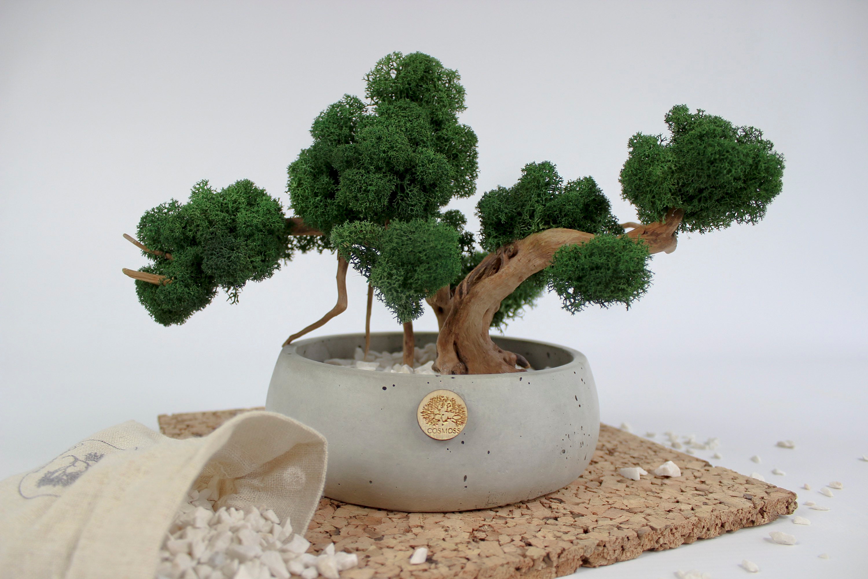 Preserved moss bonsai tree in concrete pot artificial bonsai Etsy