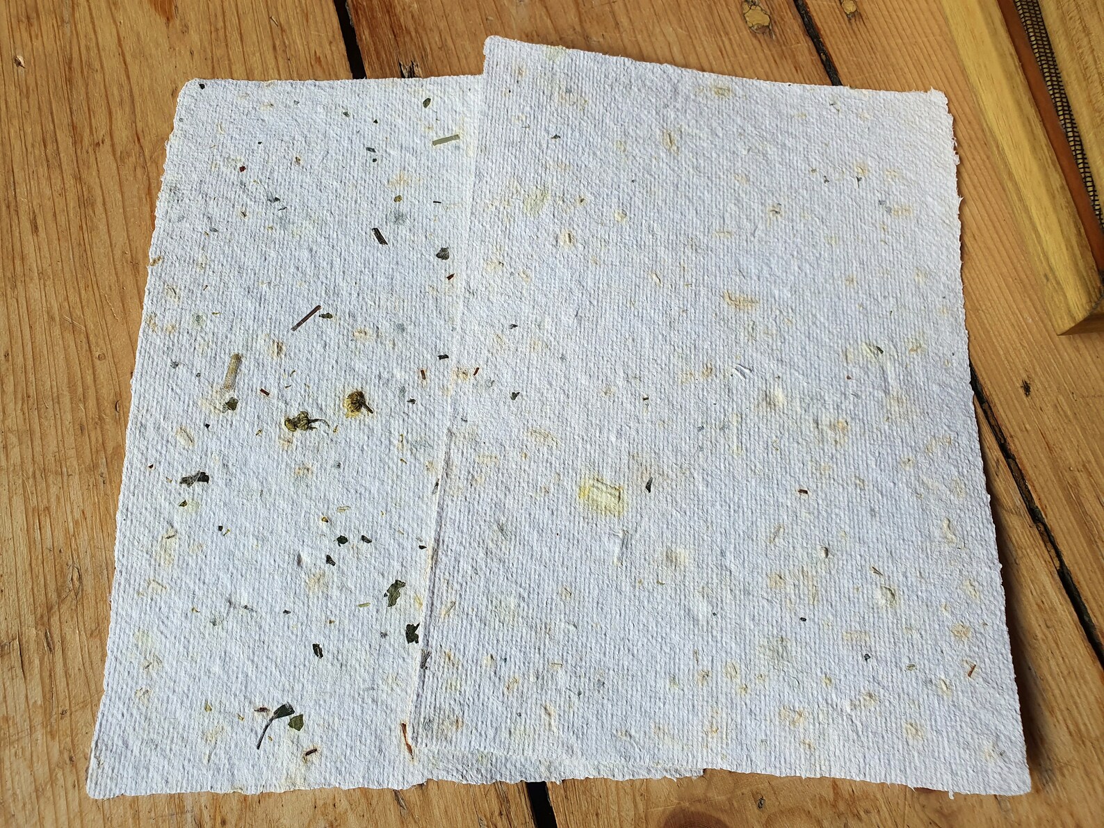 a base de plantes 7 lettres