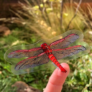 Flameskimmer Dragonfly Sticker
