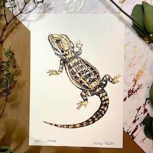 Bearded Dragon Print