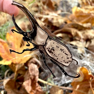Western Hercules Beetle Sticker