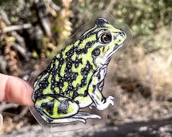 Sticker Couch's Spadefoot Toad-sticker