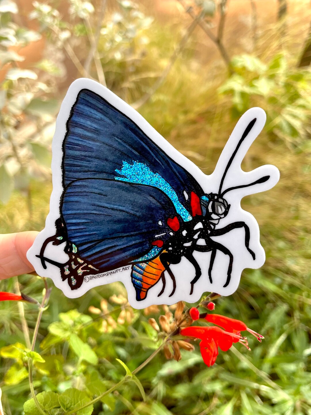 Great Purple Hairstreak (male) Sticker - Etsy