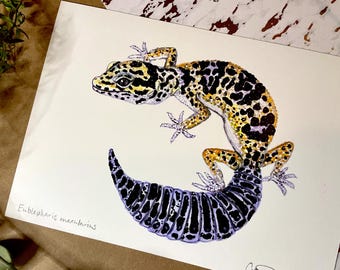 Leopard Gecko Print
