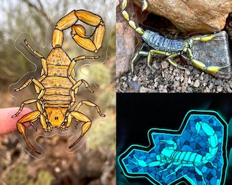 Stickerpakket Scorpion Trio