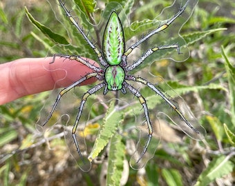 Green Lynx Spider Sticker