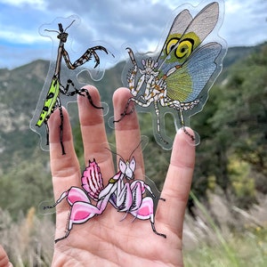 Mantis Trio Sticker Pack