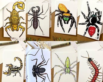 May include: Set of eight illustrated cards featuring various arachnids and insects. The cards feature a scorpion, a spider, a centipede, and other creepy crawlies. The illustrations are done in black and white with some color accents.