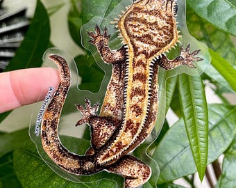 Sticker kuifgekko