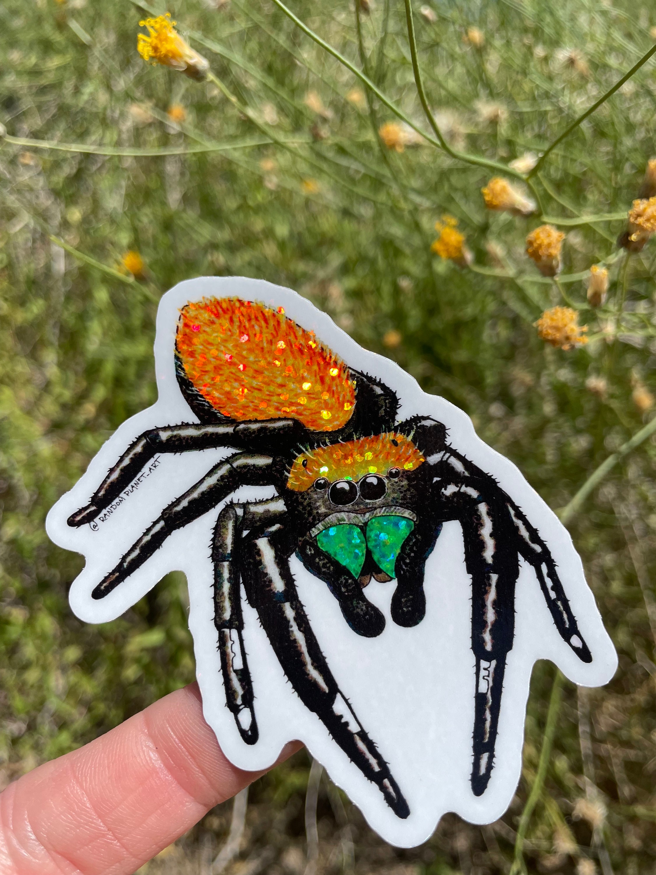Apache Jumping Spider, a fun sticker.