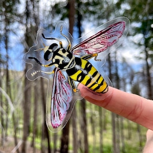 Puede incluir: Una pegatina transparente con una ilustración detallada de una mosca de las flores rayada de amarillo y negro con alas rosadas. La pegatina está en un dedo frente a un fondo borroso de árboles.