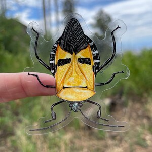 Man-faced Stink bug sticker