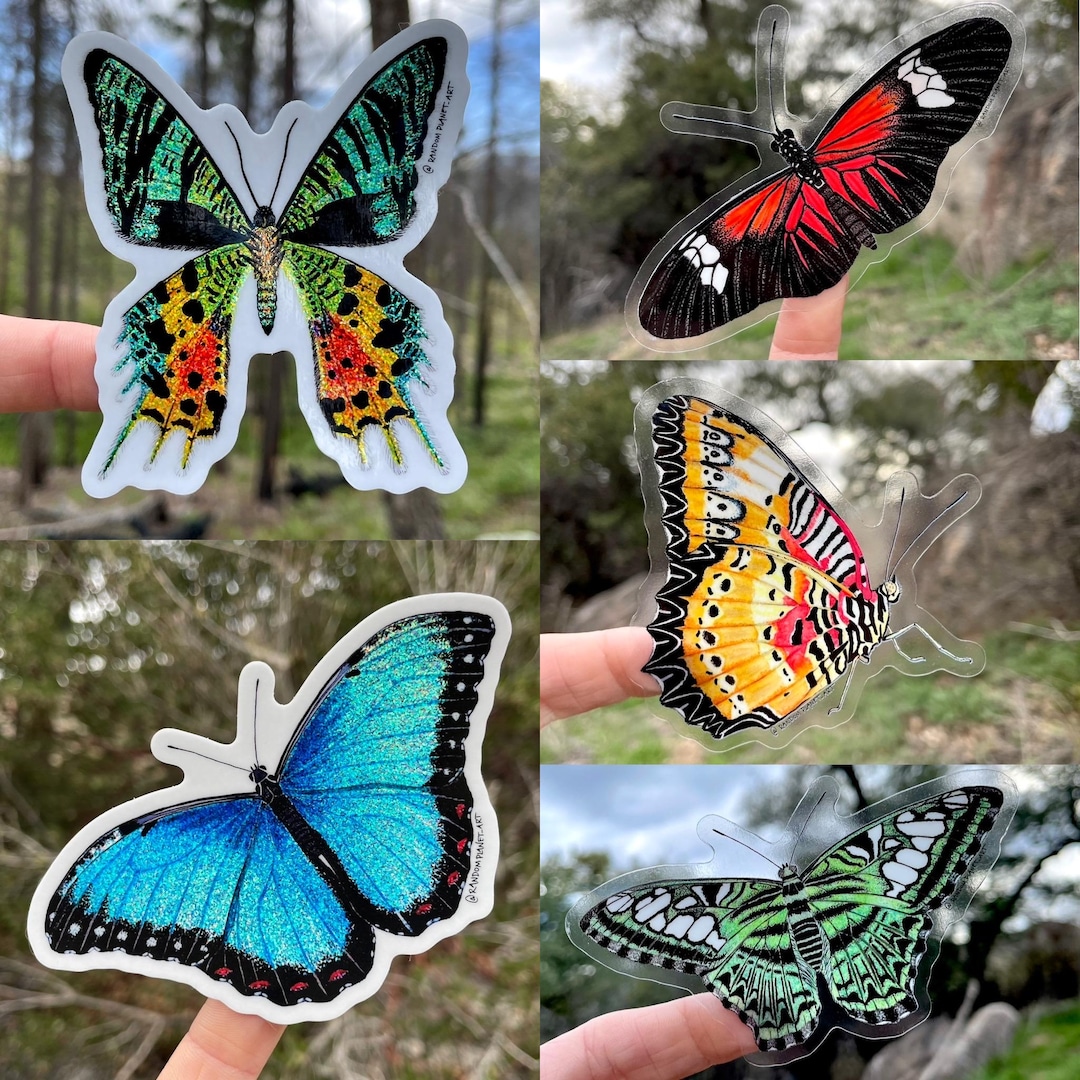Tropical Butterfly Sticker Pack - Etsy