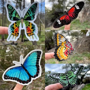May include: Five butterfly stickers in a variety of colours. The stickers depict different butterfly species with vibrant colours, including green, blue, red, yellow, and black. Each sticker is die-cut with a white border, showing the detailed wing patterns.