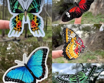 Stickerpakket tropische vlinder