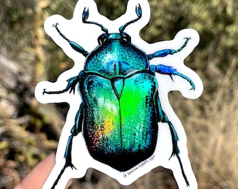 Sticker blauwgroene scarabee