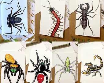 Arachnid Greeting Cards