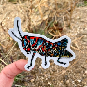 Rainbow Grasshopper Sticker