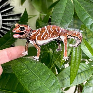 May include: A clear sticker featuring a detailed illustration of a gecko. The gecko has a brown and white pattern with a white underbelly. The sticker is held in front of green leaves.