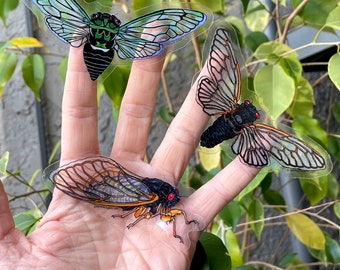 Cicada Trio Sticker Pack