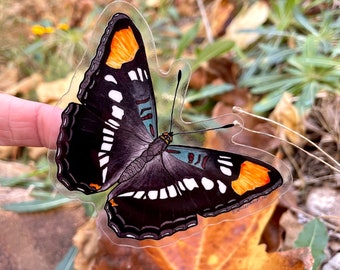 Arizona Sister Butterfly Sticker