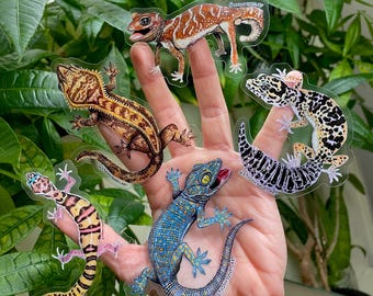 Stickerpakket Geckos Around the World!