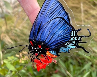 Great Purple Hairstreak (female) Sticker