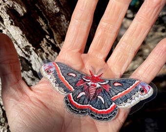 Sticker Cecropia-mot
