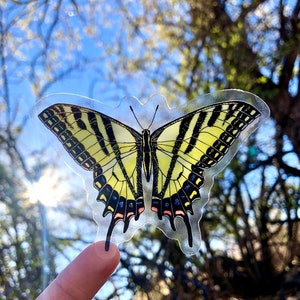 May include: A clear sticker of a yellow and black butterfly with a transparent background. The butterfly is in focus and the background is blurred.