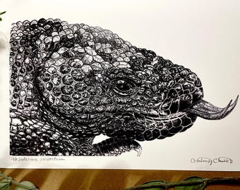 Gila Monster Skizzenbuch Druck