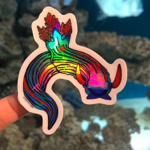 Holographic Nudibranch Sticker