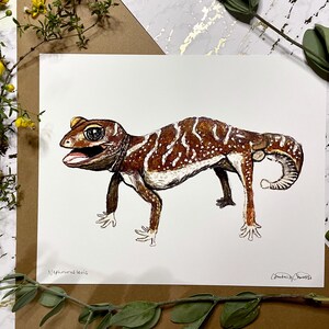 May include: A detailed watercolor illustration of a gecko, featuring brown and white patterns on its body. The gecko is depicted with its mouth open, showcasing its pink tongue. The artwork is on white paper, with the scientific name and artist's signature visible.