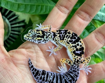 Sticker luipaardgekko