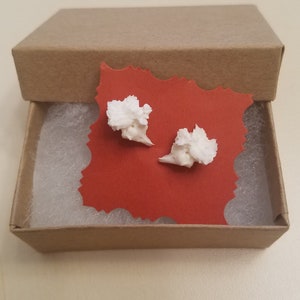 Possum skull fragment stud earrings
