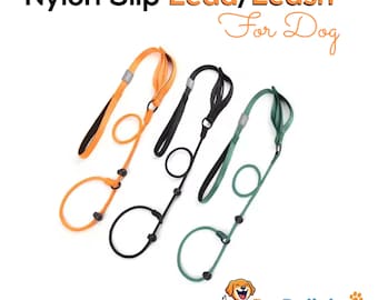 Nylon Slip Lead Dog Slip Leash and Collar Dog Training Leash with Double Handle Puppy Walking Leash