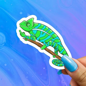 F&@! Off Chameleon Sticker Middle Finger Chameleon Decal Chameleon Gift