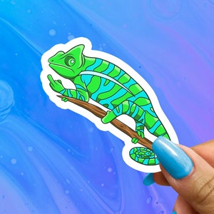 Middle Finger Chameleon Sticker: Funny Vinyl Decal
