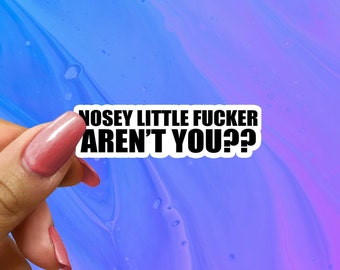 Sarcastic 'Nosey Little Fucker' Sticker - Funny Laptop Decal