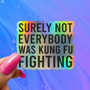 Surely Not Everybody Was Kung Fu Fighting Funny Saying Sticker, Funny Sticker, Funny Sticker, Water Bottle Stickers, Laptop Decal