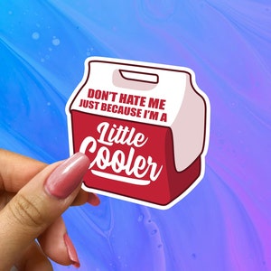 Don't Hate Me Just Because I'm A Little Cooler Sticker, Funny Sticker, Little Cooler, Funny Laptop Decal Water Bottle Sticker, Don't hate me