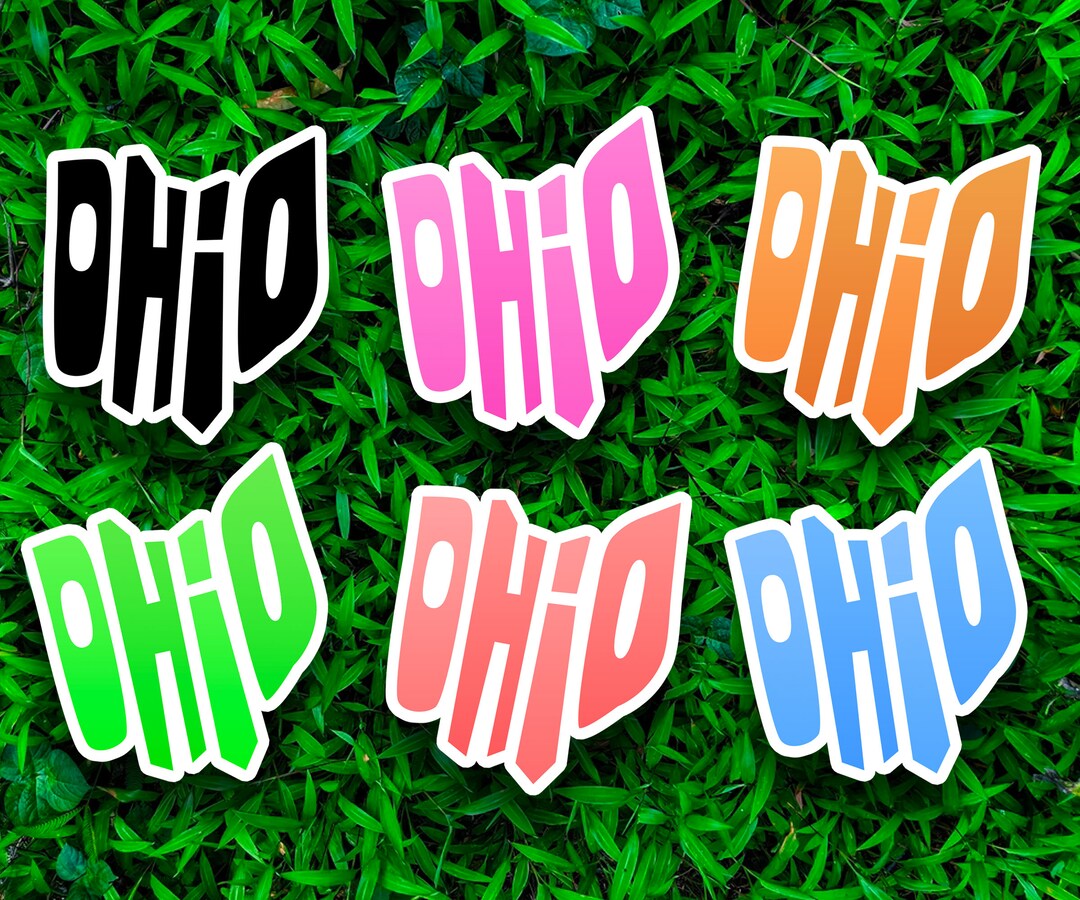 Ohio State Sticker, Ohio Decal, State Laptop Stickers, Waterproof Vinyl