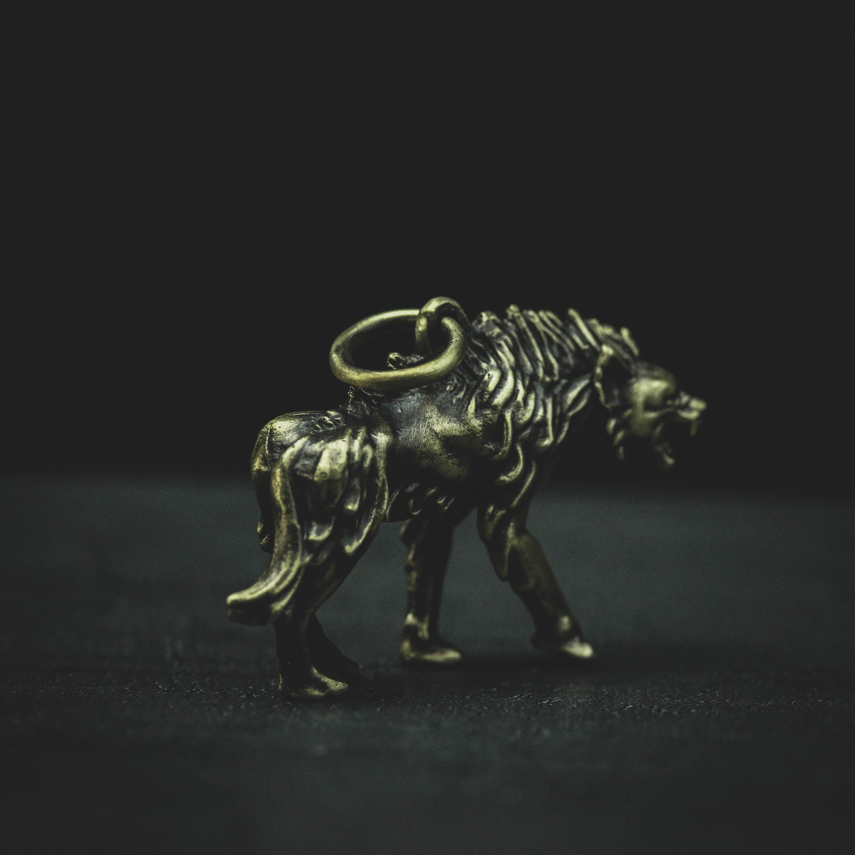 The Hunter And The Beast Key