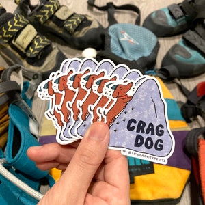 Hand holding a stack of stickers, crag dog, climber life, cragdogs, dog lovers, adorable sticker of wiener dog, climbing shoes, chalk bag, carabiner, harness, climbing rope, belay card, toprope, on belay, r/climbing, r/climbergirls, sloper rock